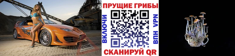 Галлюциногенные грибы Psilocybine cubensis  купить   Власиха 